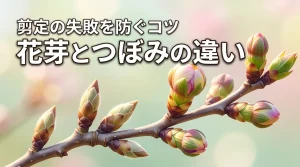 【剪定の失敗を防ぐ】花芽とつぼみの違いを知り豊かな開花を成功させる方法