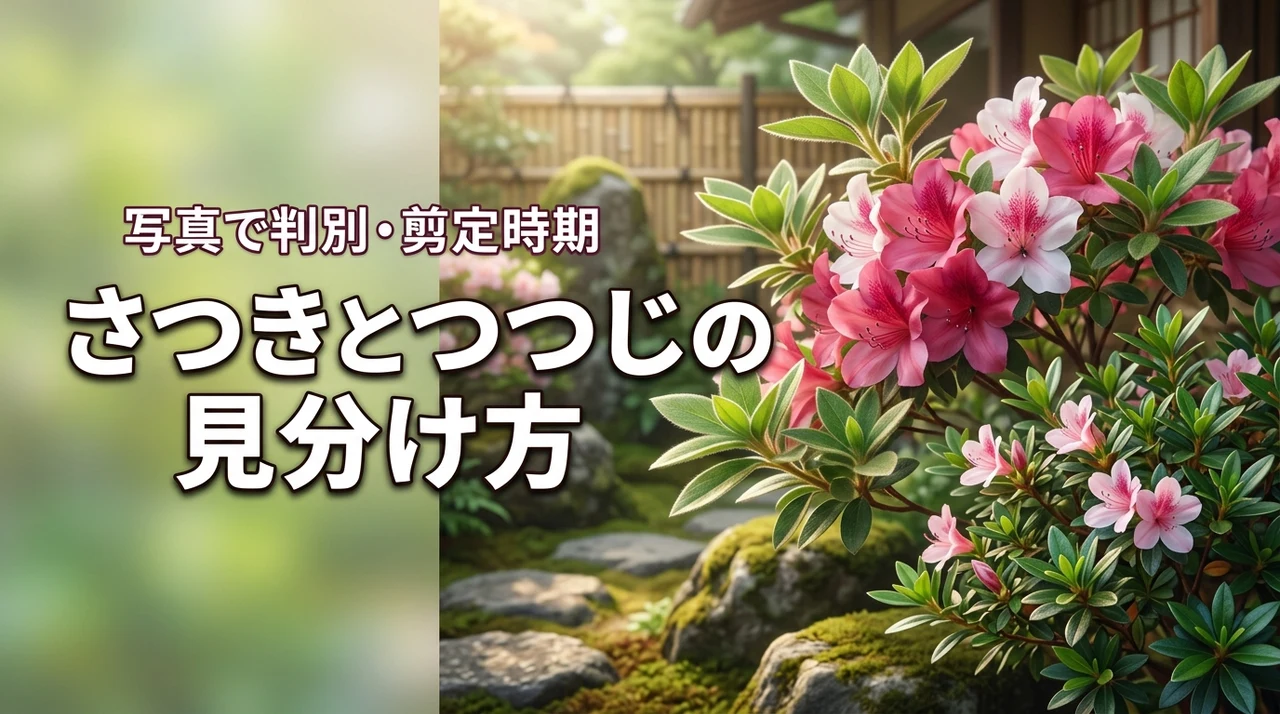 もう迷わない！さつきつつじの違いを写真で見分けるコツと最適な剪定時期
