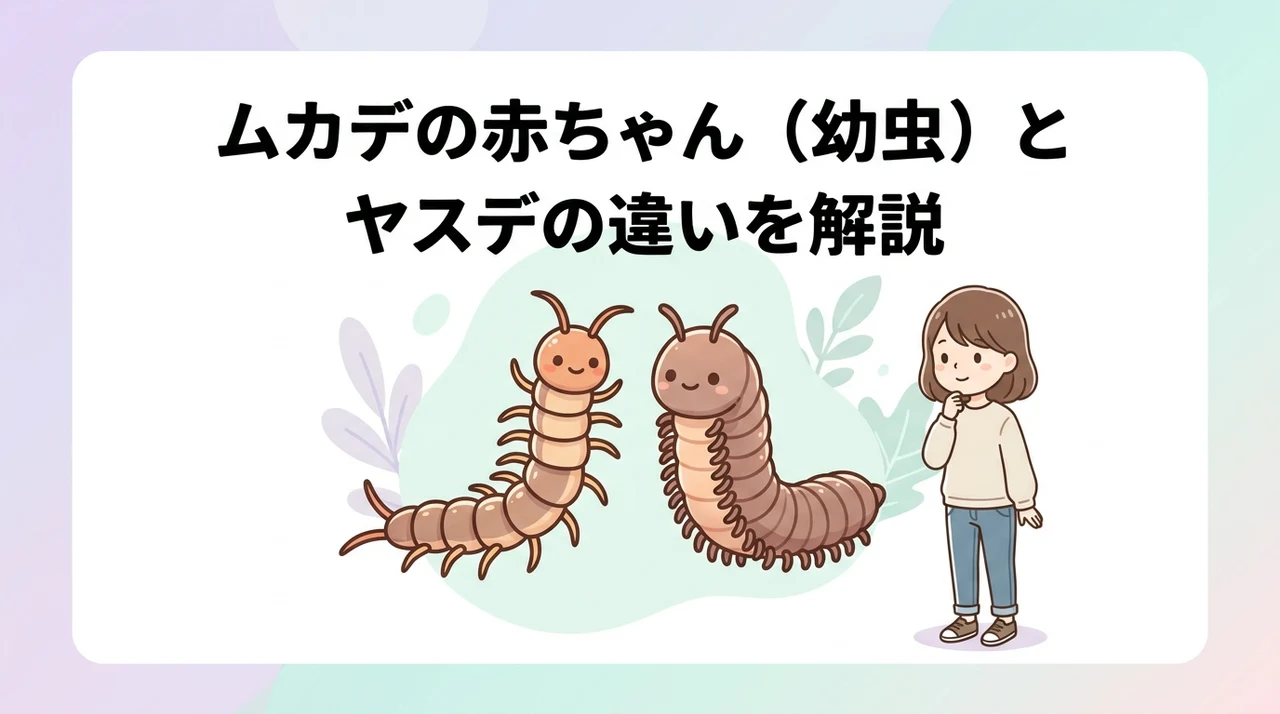 ムカデの赤ちゃん（幼虫）とヤスデの違いを解説