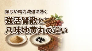 強活腎散と八味地黄丸の違いは何？頻尿や精力減退の悩みに効く選び方を伝授します