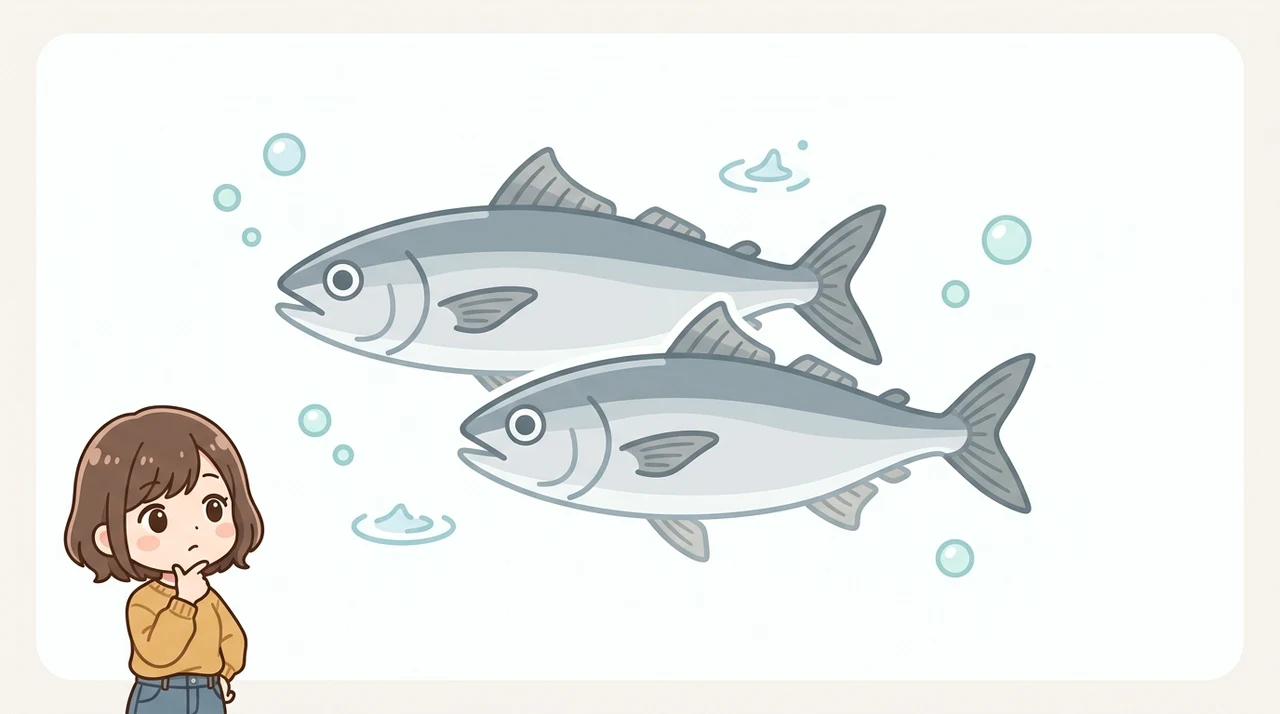 メナダとボラの違いを見分ける3つのポイント