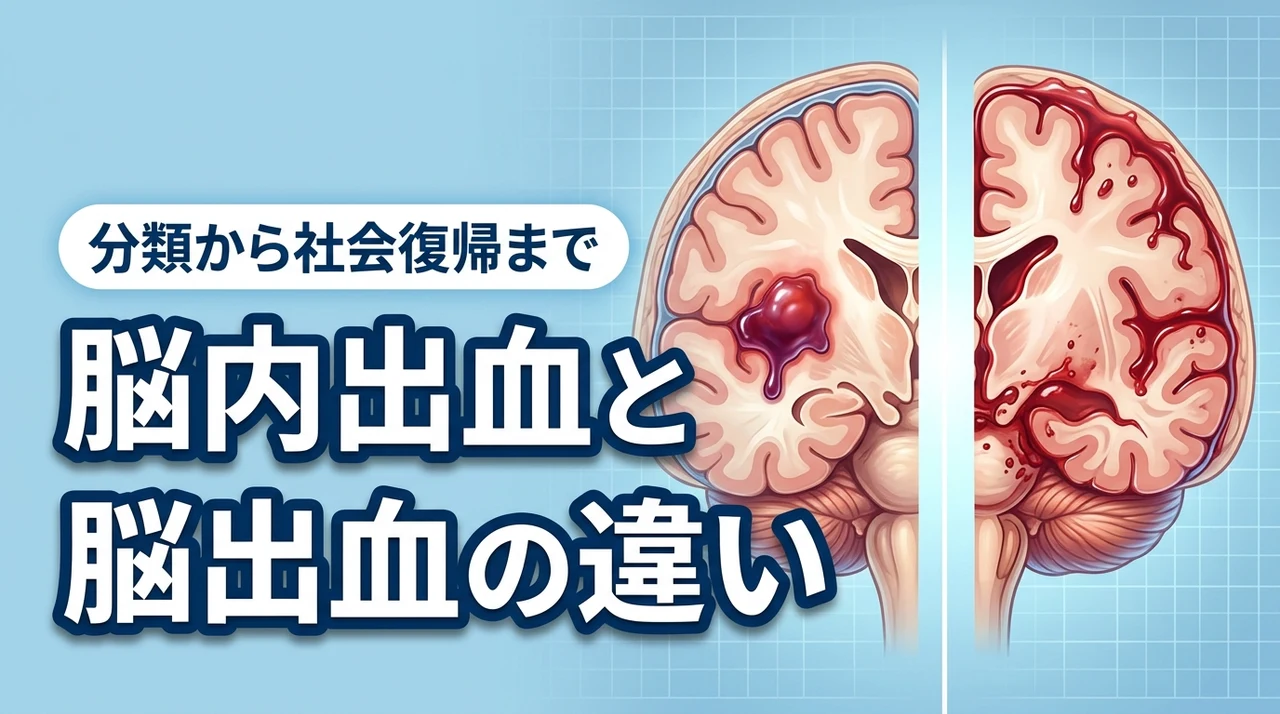 脳内出血と脳出血に違いはある？脳卒中の分類から社会復帰までの流れを解説