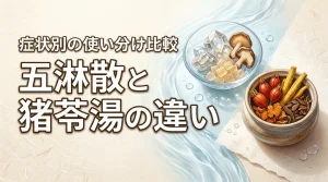 膀胱炎で五淋散と猪苓湯の違いに迷ったら？症状別の使い分けやメリットを解説